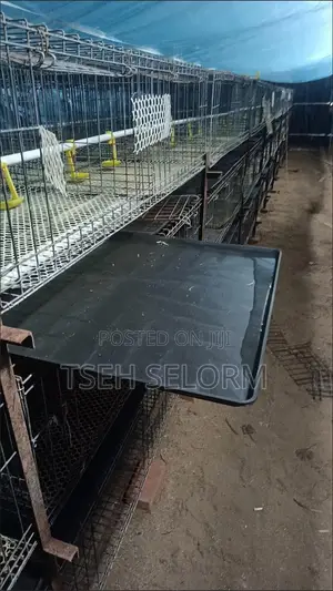 Poultry Waste Tray