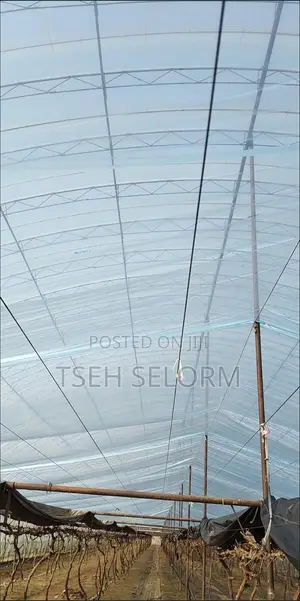Greenhouse Plastic Film