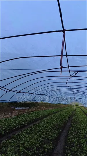 Greenhouse Plastic Film