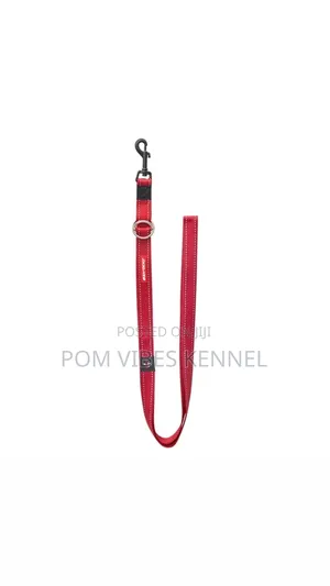 EzyDog Vario 4 Multi-Function Dog Leash