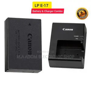 Canon Lp E17 Battery & Charger