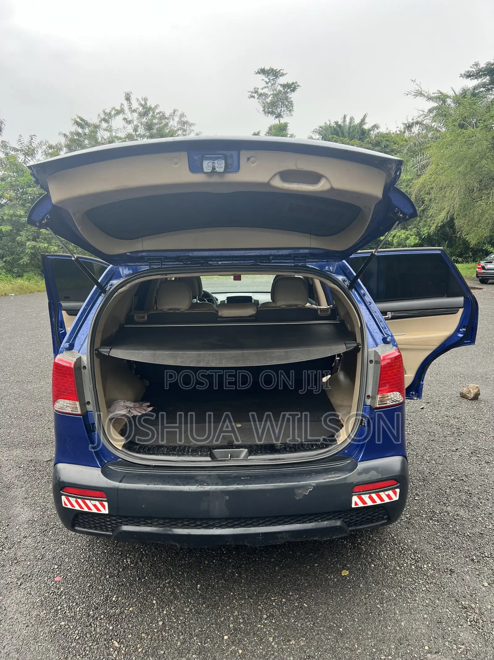 Kia Sorento 2013 Blue