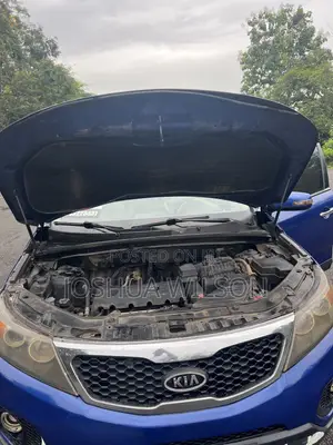 Kia Sorento 2013 Blue