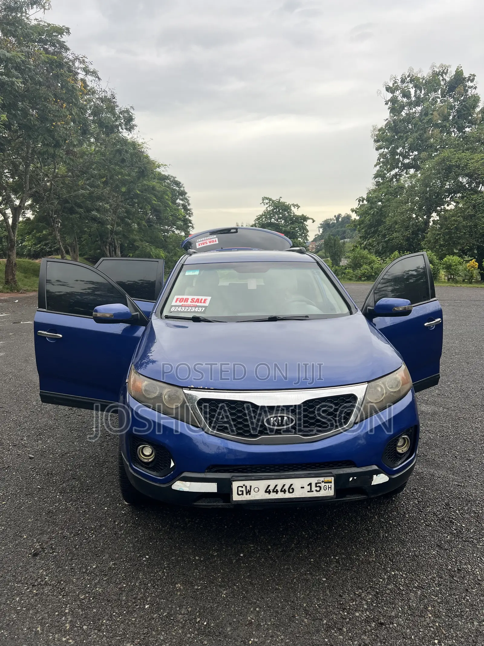 Kia Sorento 2013 Blue