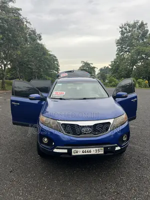 Kia Sorento 2013 Blue