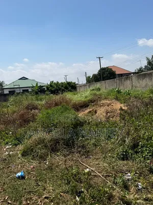 Walled and Gated Two and Half Plot at Community 17- Lashibi