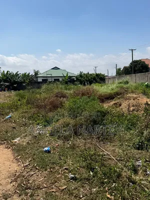 Walled and Gated Two and Half Plot at Community 17- Lashibi