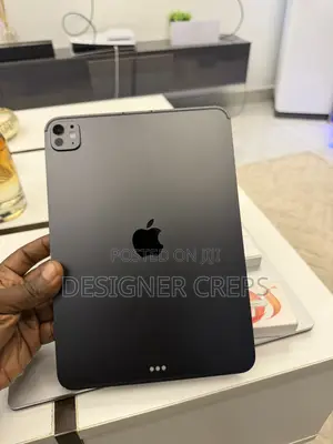 Apple iPad Pro 256 GB Gray