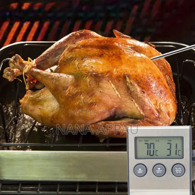 Digital Kitchen Oven Thermometer With Probe and Timer,