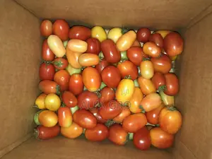 Fresh Tomatoes
