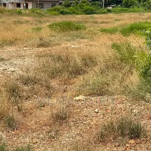 Great Discount in Well Planned Area Plots - Prampram Beach Lane