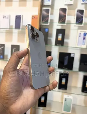 Apple iPhone 15 Pro Max 512 GB Gray