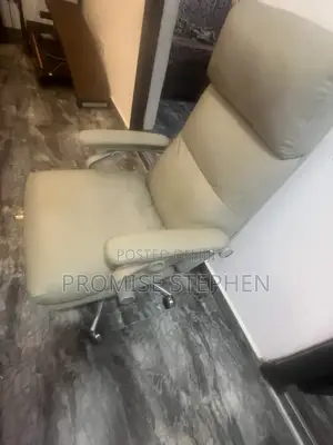 Premium Padded Executive Office Chair – Clean & Comfortable