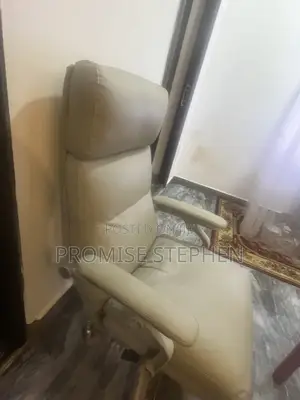 Premium Padded Executive Office Chair – Clean & Comfortable