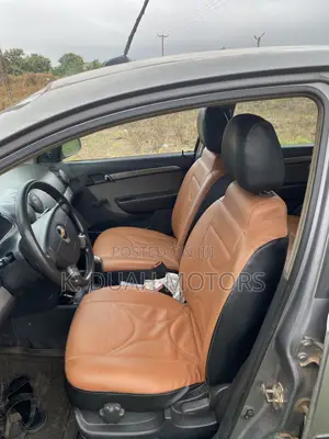 Chevrolet Aveo 2012 Gray