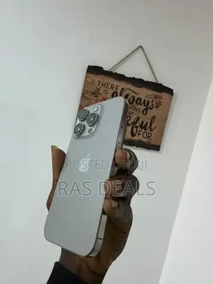 Apple iPhone 15 Pro Max 256 GB Silver