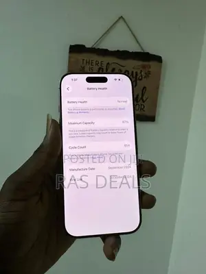 Apple iPhone 15 Pro Max 256 GB Silver
