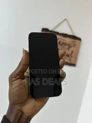 Apple iPhone 15 Pro Max 256 GB Silver