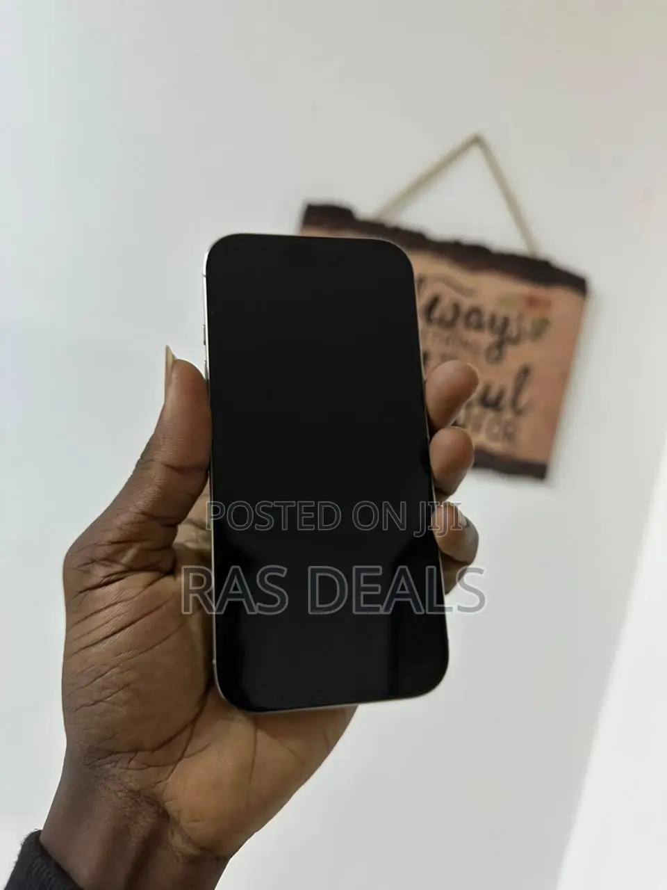 Apple iPhone 15 Pro Max 256 GB Silver