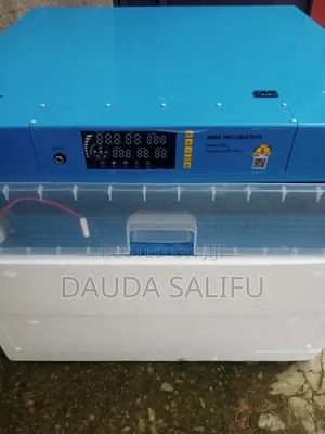 300 Egg Incubator