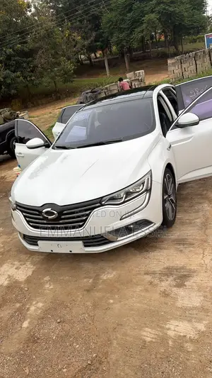 Renault 17 2017 White