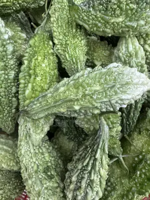 Fresh Bitter Melon