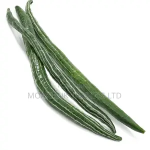 Fresh Snake Gourd