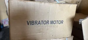 Electric Vibrator Motor