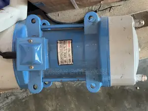 Electric Vibrator Motor