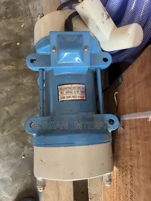 Electric Vibrator Motor