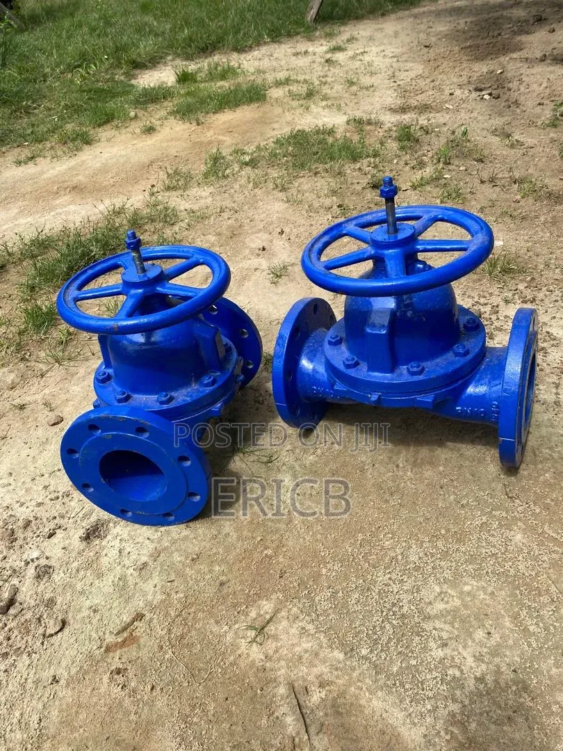 100m Diaphragm Valve
