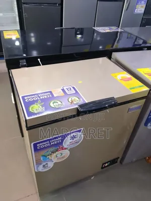 Best Nasco 150 Litters Chest Freezer