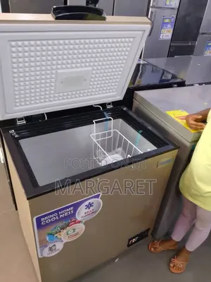 Best Nasco 150 Litters Chest Freezer