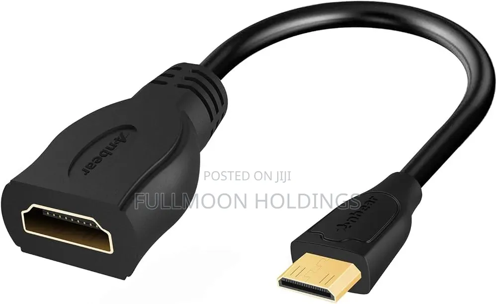 Mini Hdmi to Female Hdmi Adapter