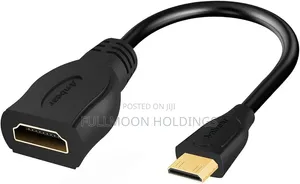 Mini Hdmi to Female Hdmi Adapter