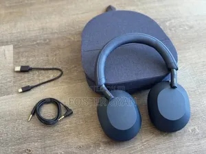 Sony WH1000XM5
