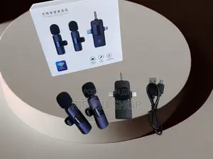 Professional 3-in-1 Wireless Microphone