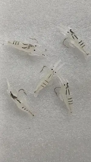 5 Shrimps 1 Fish With Hooks Baits for Fishing