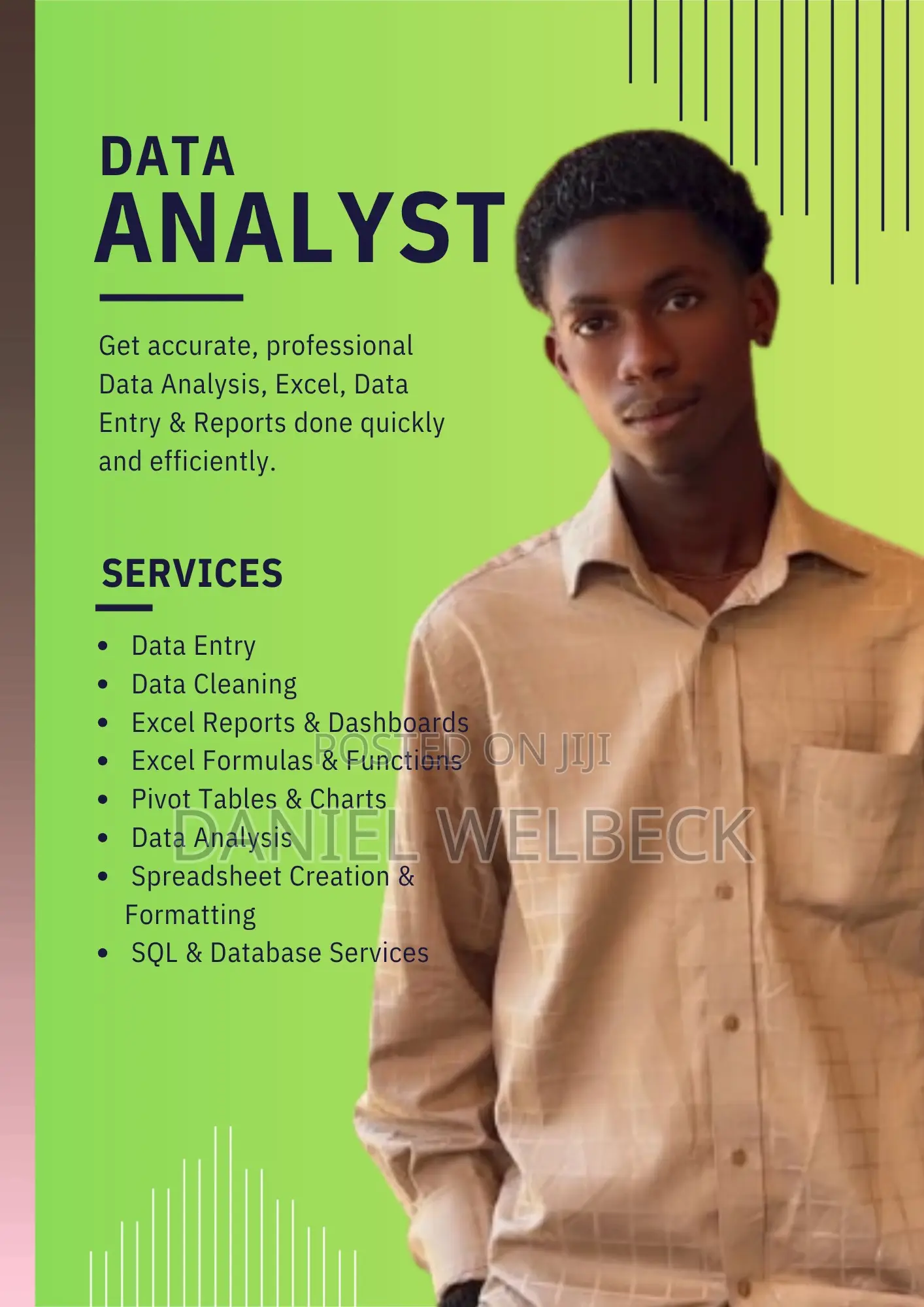 Data Analyst
