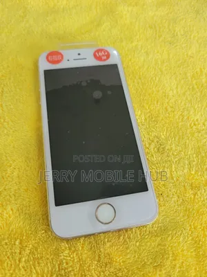 Apple iPhone 5s 16 GB