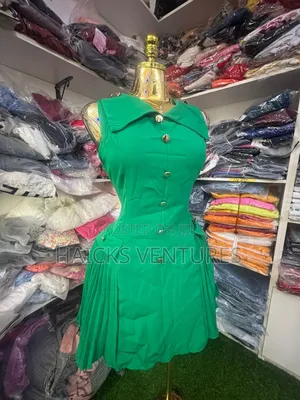 Ladies Decent Office Dress