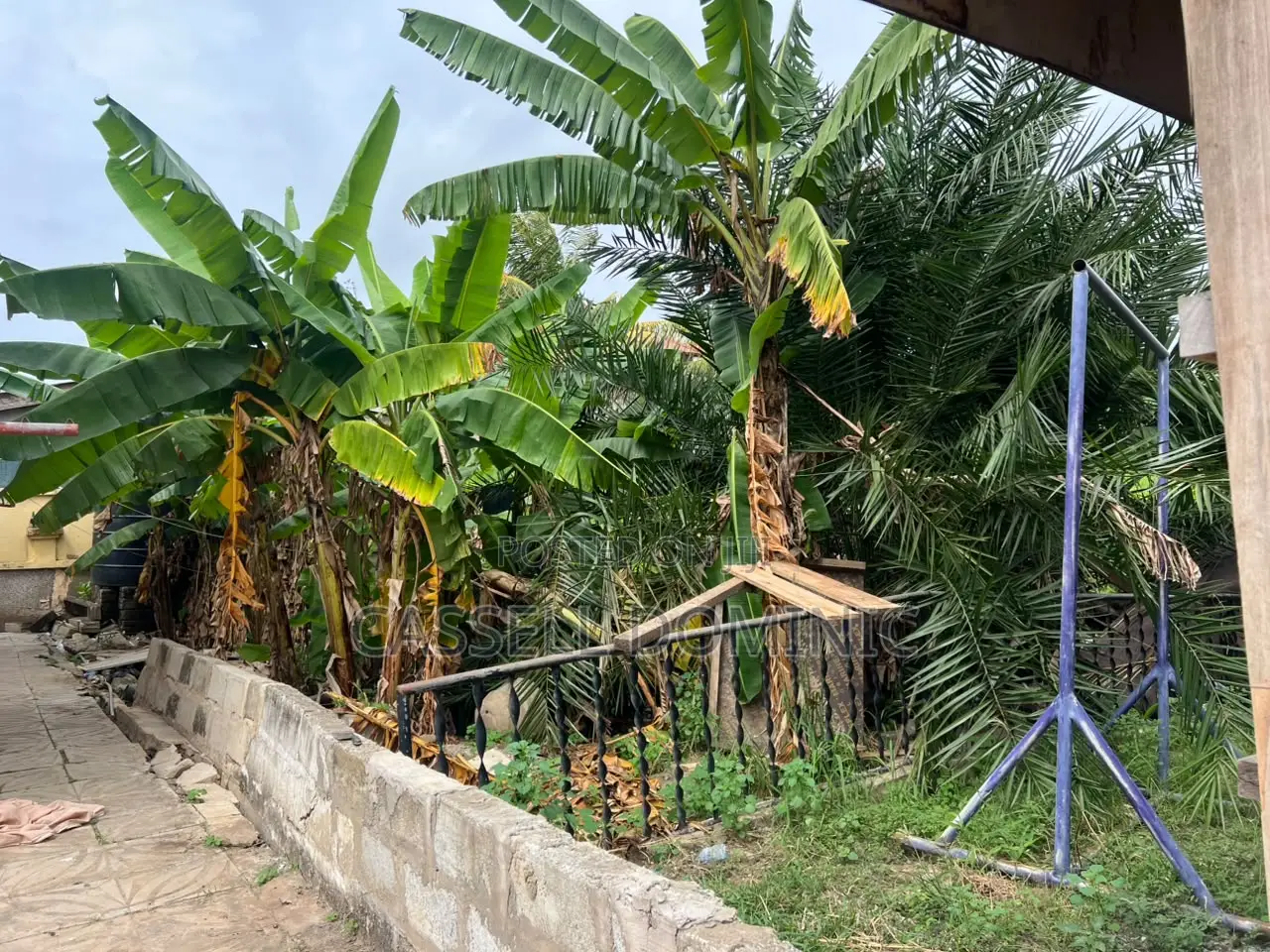 Titled Land (One Plot )