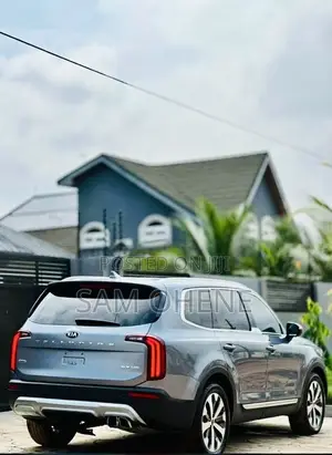 Kia Telluride 3.8 AWD 2022 Gray