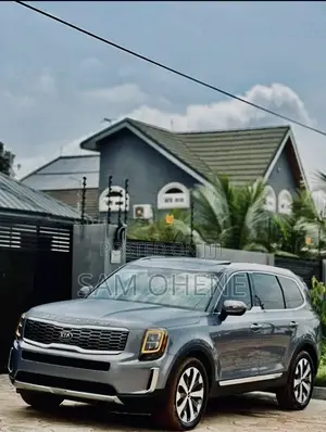 Kia Telluride 3.8 AWD 2022 Gray