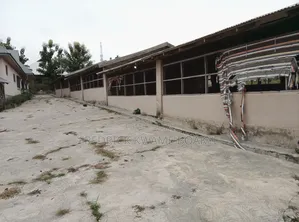 Pourtly Farm for Sale at Offinso Daaso