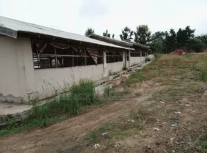 Pourtly Farm for Sale at Offinso Daaso