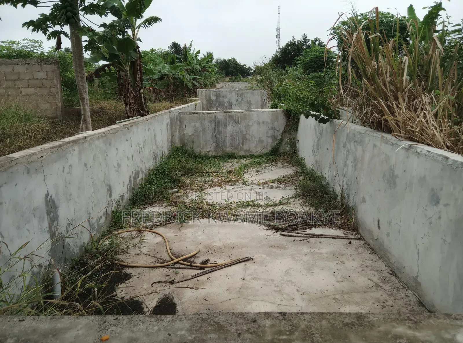 Pourtly Farm for Sale at Offinso Daaso