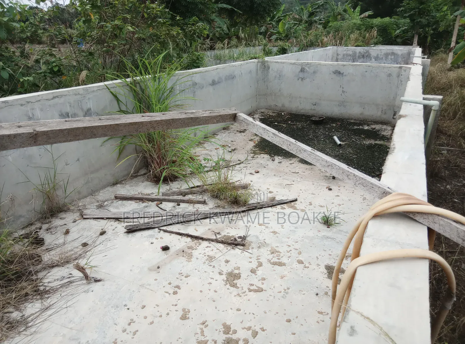 Pourtly Farm for Sale at Offinso Daaso