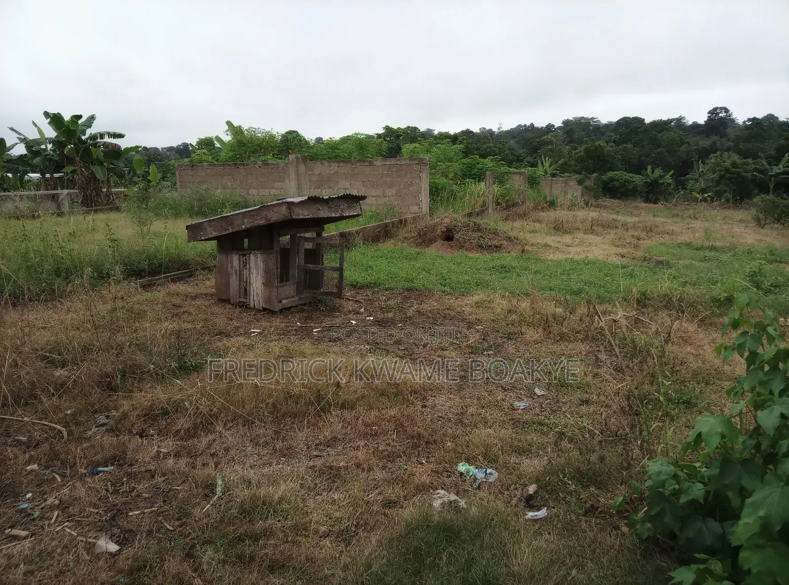 Pourtly Farm for Sale at Offinso Daaso