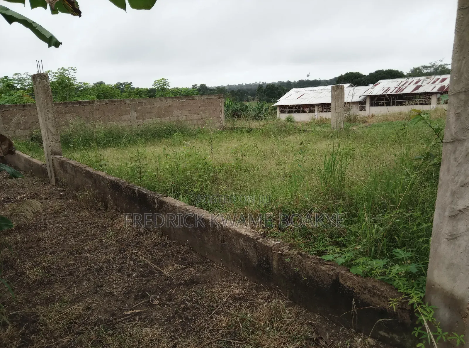 Pourtly Farm for Sale at Offinso Daaso